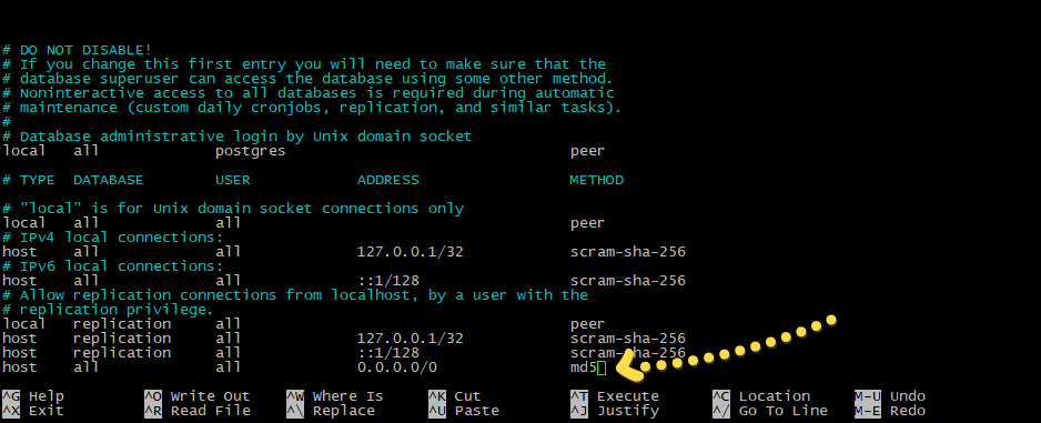 pg_hba.conf